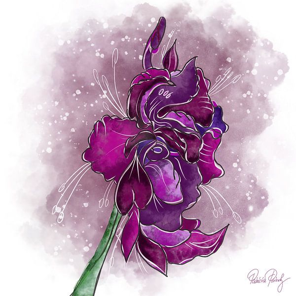 Blumenmotiv - Gladiole von Patricia Piotrak