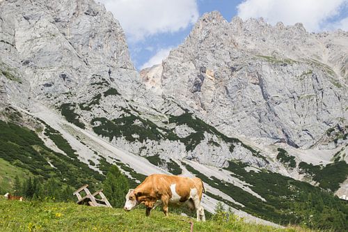 Glacier de Dachstein sur André Hamerpagt