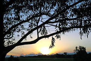 Sunset Landscape no. 10