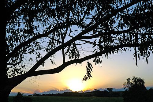 Zonsondergang Landschap no. 10