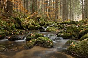 Herfst