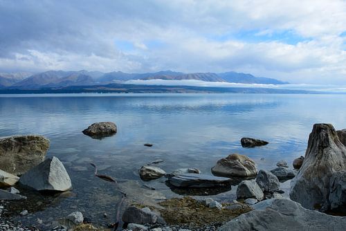 Die stille Welt der Natur von Anja Roelenga
