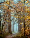 The Unknown by Lars van de Goor thumbnail