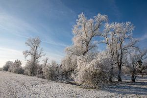 Verschneite Winterlandschaft