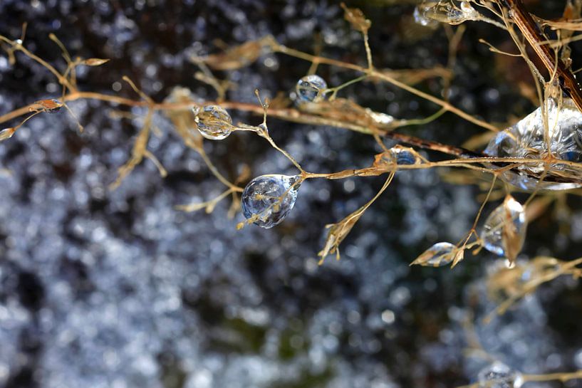 Wintertime by Thomas Jäger