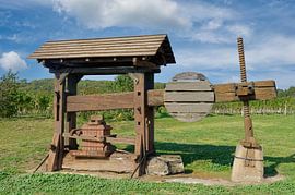 Wine press in the vineyards at the Kellergasse by Peter Eckert
