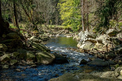 In de Zwarte Watervallei in het Ertsgebergte