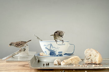 Nature morte avec moineaux et texte.