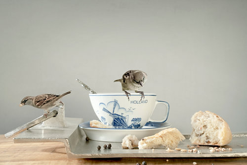Still life with sparrows and text. by Alie Ekkelenkamp