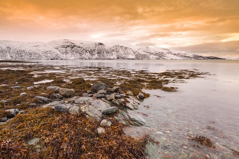 Noors fjord onder rode zonsondergang van Sander Meertins