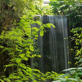 Tropischer Wasserfall von Marcel Mombarg
