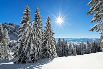 Winters sprookje in de bergen van Andreas Föll