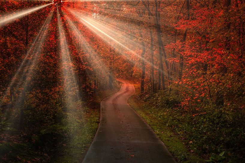 Round the corner van peterheinspictures