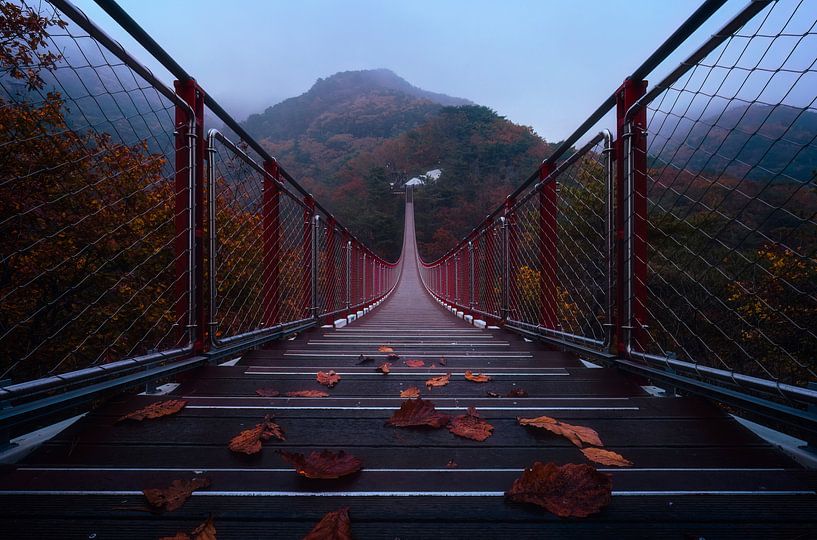 Autumn at the top mountain by Tiger Seo