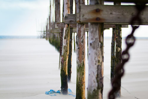 Palen op het strand
