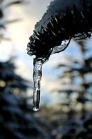 My drop is frozen ...
