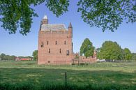 Schloss Doornenburg von Marcel Rommens Miniaturansicht