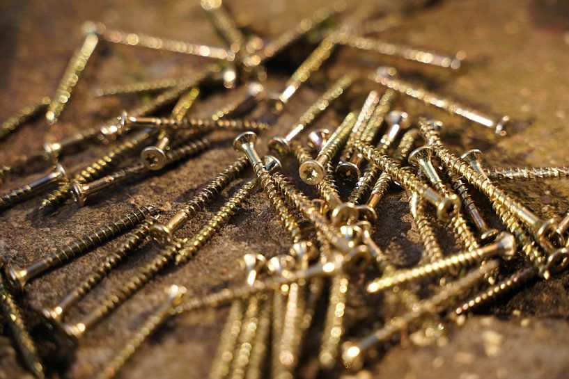 Torx screws by Floris Verweij