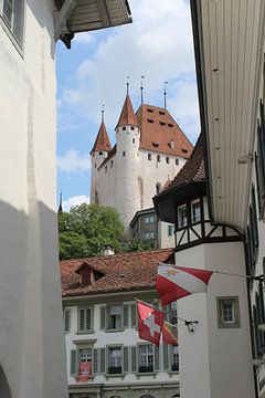 Kasteel en historische binnenstad van Thun, Zwitserland van Imladris Images