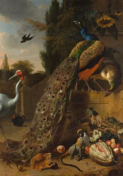 Peacocks, Melchior d'Hondecoeter