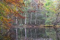 Weerspiegeling
