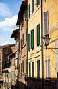 Siena Italien von Scholtes Fotografie Miniaturansicht