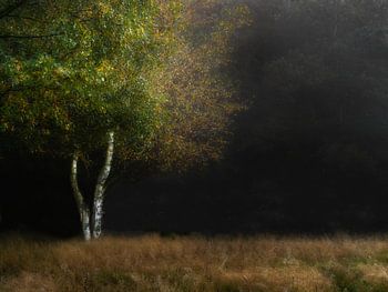 Herbstliche Atmosphäre