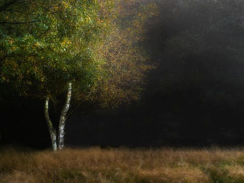 Herbstliche Atmosphäre