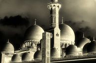 Domes of the Sheikh Zahid Mosque in Abu Dhabi in black and white by Dieter Walther thumbnail