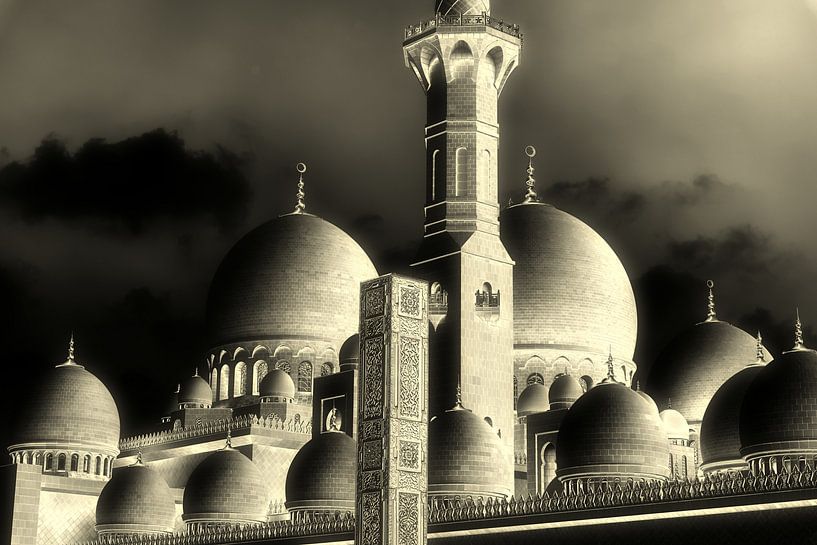 Domes of the Sheikh Zahid Mosque in Abu Dhabi in black and white by Dieter Walther