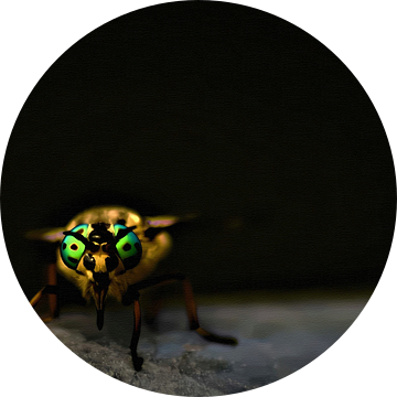 Buitenaardse vlieg met groene ogen van Maud De Vries