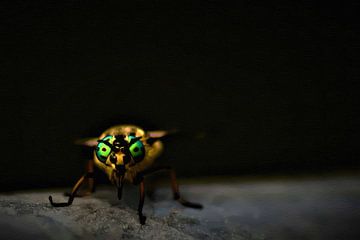 Mouche extraterrestre aux yeux verts sur Maud De Vries