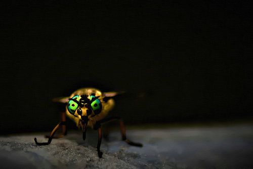 Buitenaardse vlieg met groene ogen
