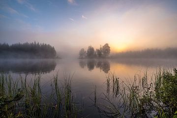 Morgens aufwachender See