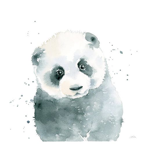 Panda Cub, Katrina Pete