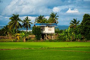 Cottage dans une rizière, Chiang Rai Thaïlande