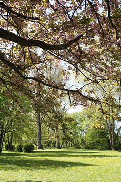 Kurpark von Bad Neustadt im Frühling