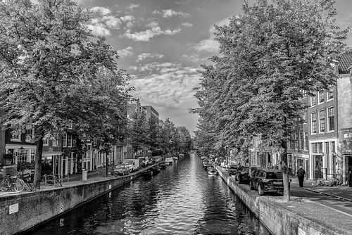 Lauriergracht Amsterdam in autumn. by Don Fonzarelli