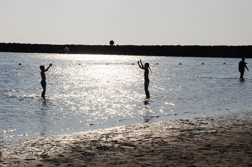 Jeu de balle dans l'eau par Nico Orie