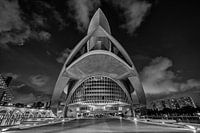 Palau de les Arts