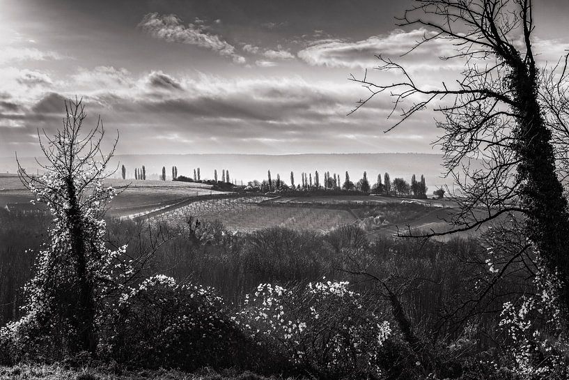 Klein Toscane in Eyserhalte van Rob Boon
