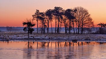 Wetland landschap met gladde rood gekleurde zonsopgang