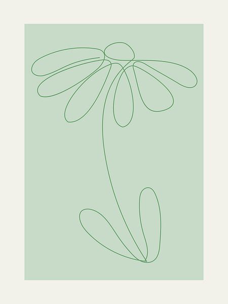 Schönes Gänseblümchen von @Unique