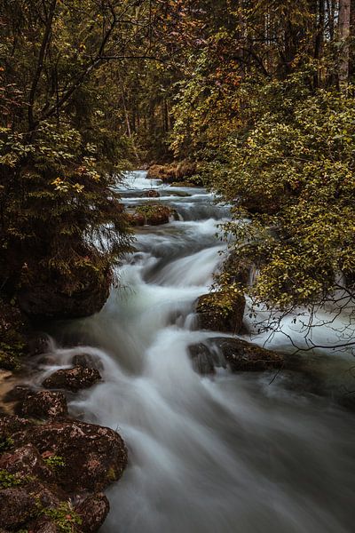 Fairytale forest at Hintersee by Heiko Lehmann