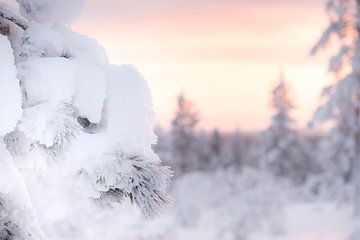 Sfeervol winterlandschap met kleurrijke lucht, Finland van Melissa Peltenburg