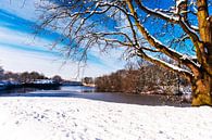 Winterlandschap in Nederland met sneeuw en zon. van Brian Morgan thumbnail