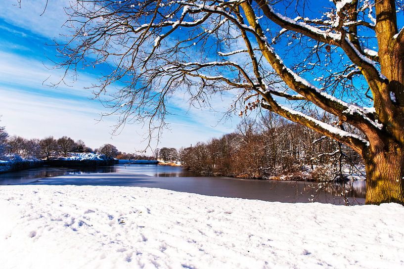 Winterlandschap in Nederland met sneeuw en zon. par Brian Morgan