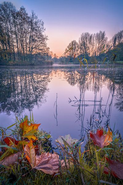 Blue hour in autumn by Mark Bonnenberg