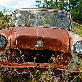 Overgrown and rusty beauty by Renzo de Jonge