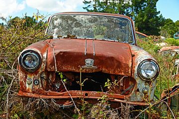 Overgrown and rusty beauty by Renzo de Jonge